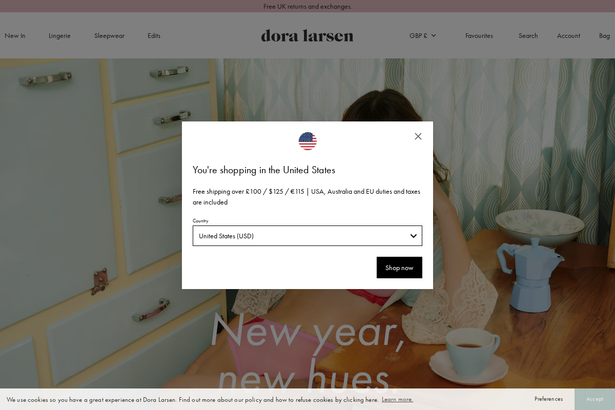 doralarsen.com homepage screenshot