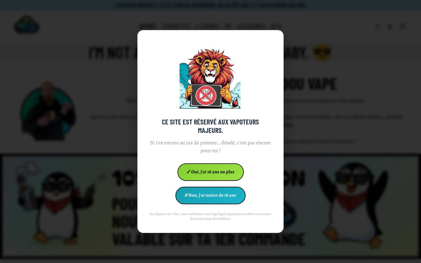 doudouvape.fr homepage screenshot
