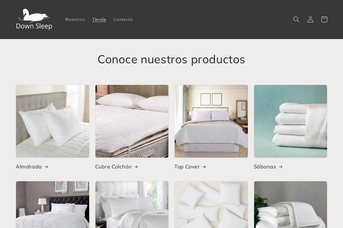 downsleep.com.mx homepage screenshot