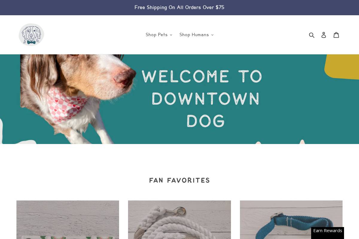 downtowndog.co homepage screenshot