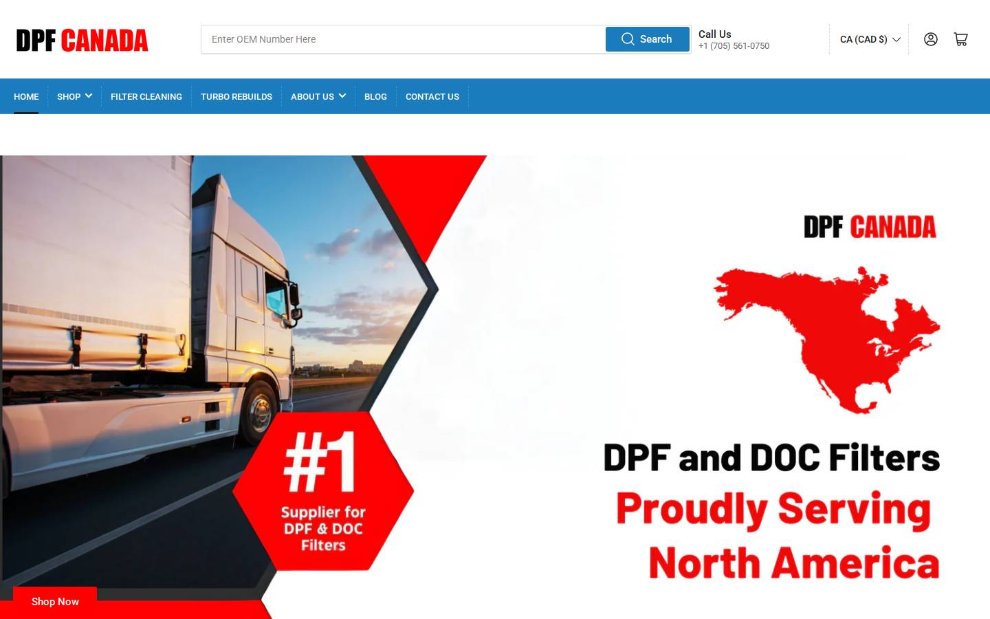 dpfsudbury.ca homepage screenshot