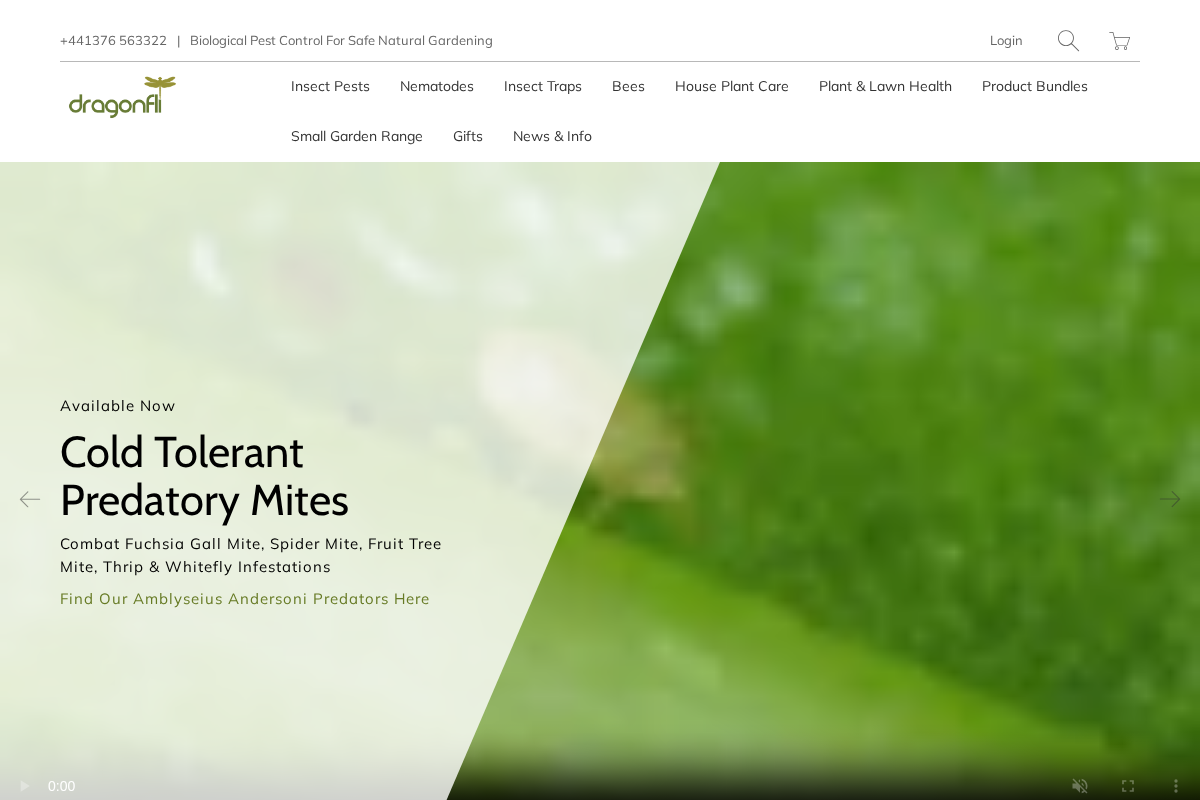 Dragonfli homepage screenshot