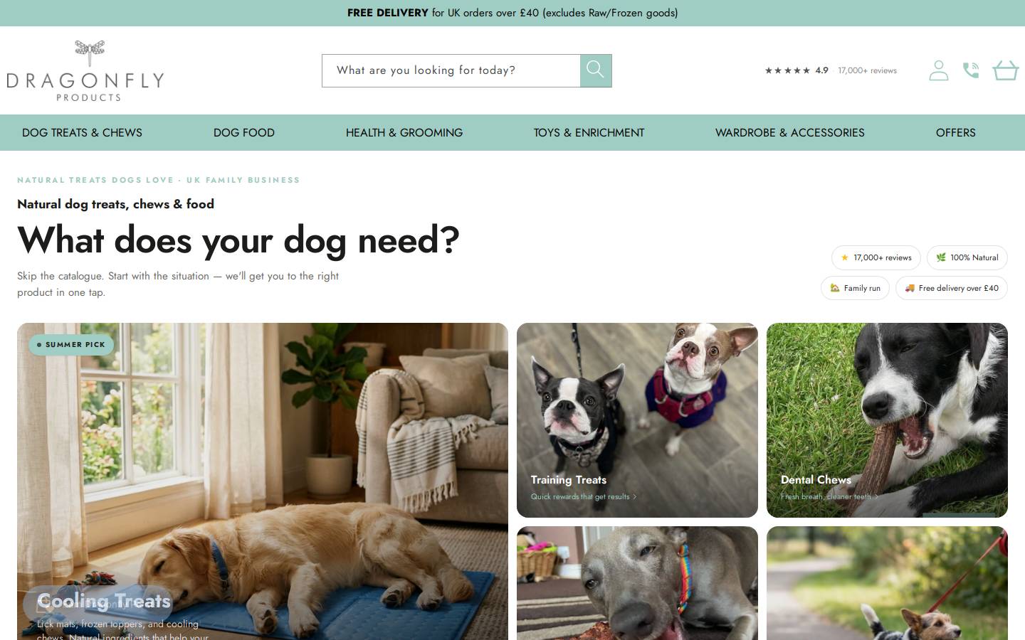 Dragonfly Products Ltd homepage screenshot