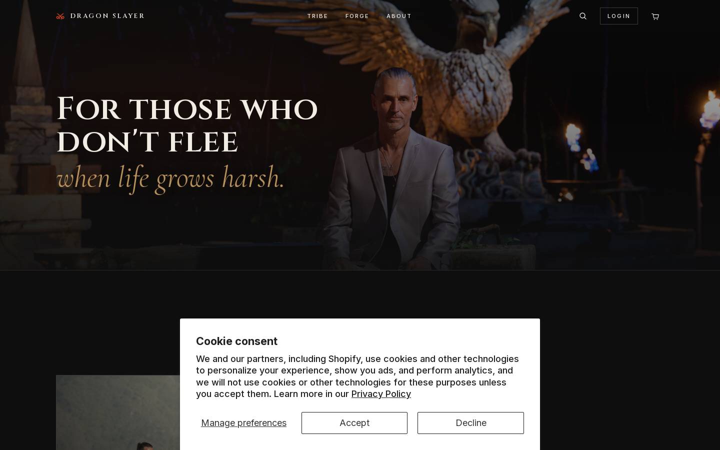 dragonslayercoach.com homepage screenshot