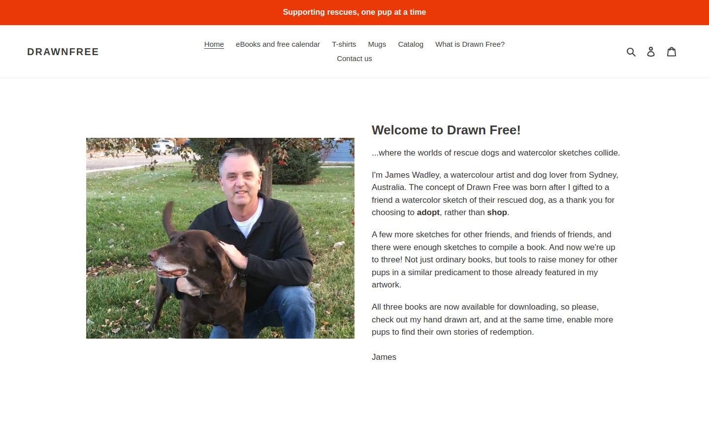 drawnfree.store homepage screenshot