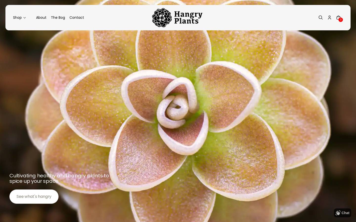 drawstuff.shop homepage screenshot