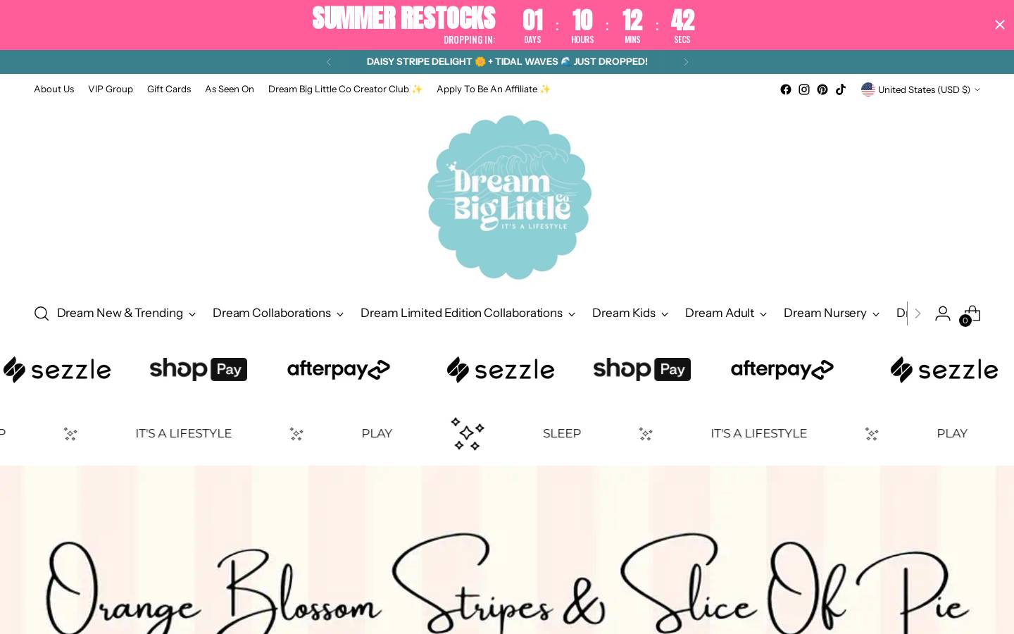 dreambiglittleco.com homepage screenshot