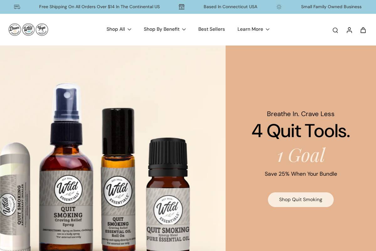 Dream Essentials homepage screenshot