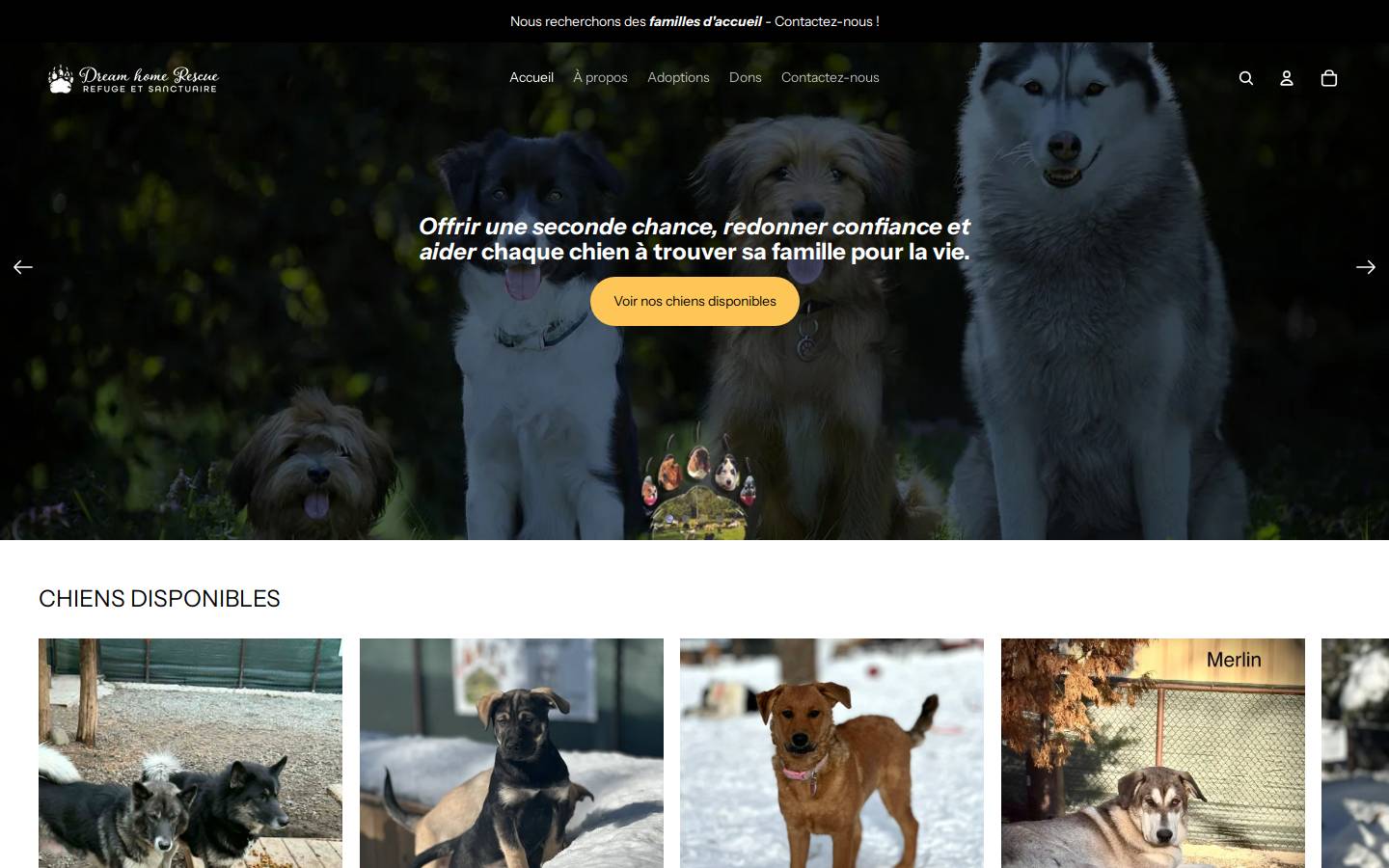 dreamhomerescue.com homepage screenshot