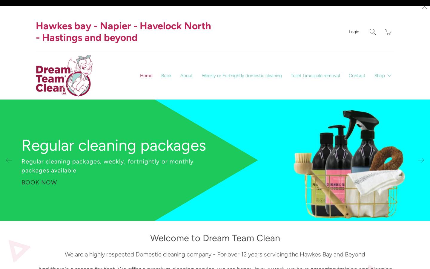 Dreamteamclean homepage screenshot