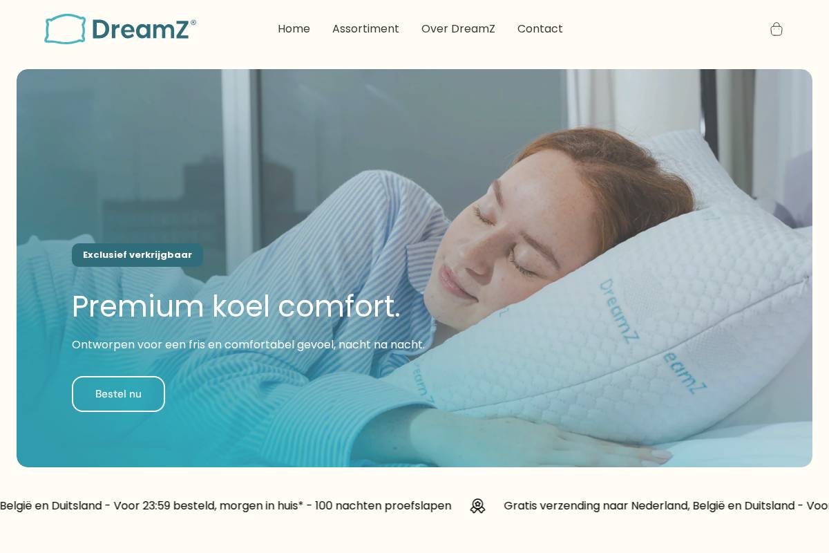 DreamZ homepage screenshot