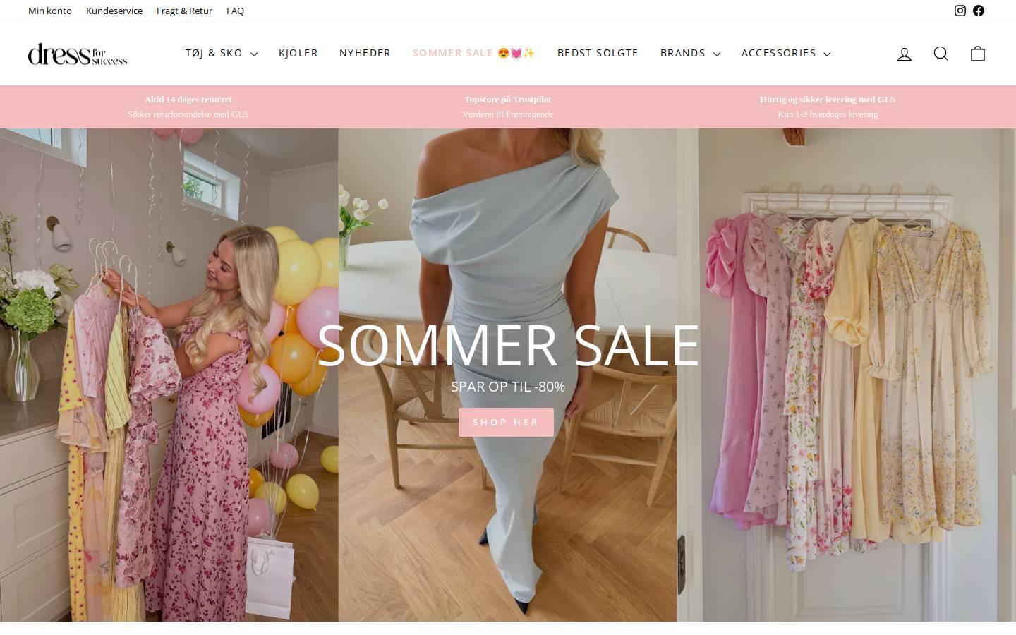 Dressforsuccess.dk homepage screenshot
