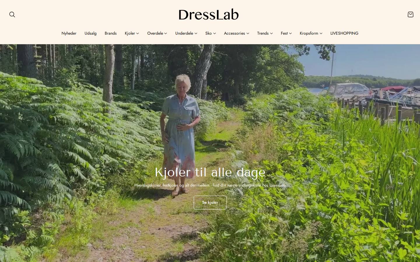 DressLab homepage screenshot