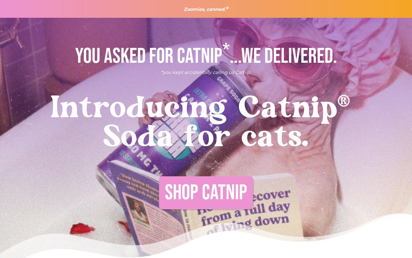 drinkcatnip.com homepage screenshot