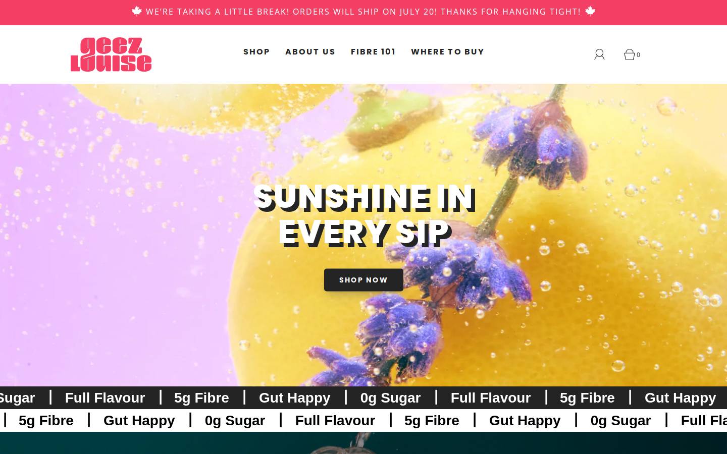 drinkgeezlouise.com homepage screenshot