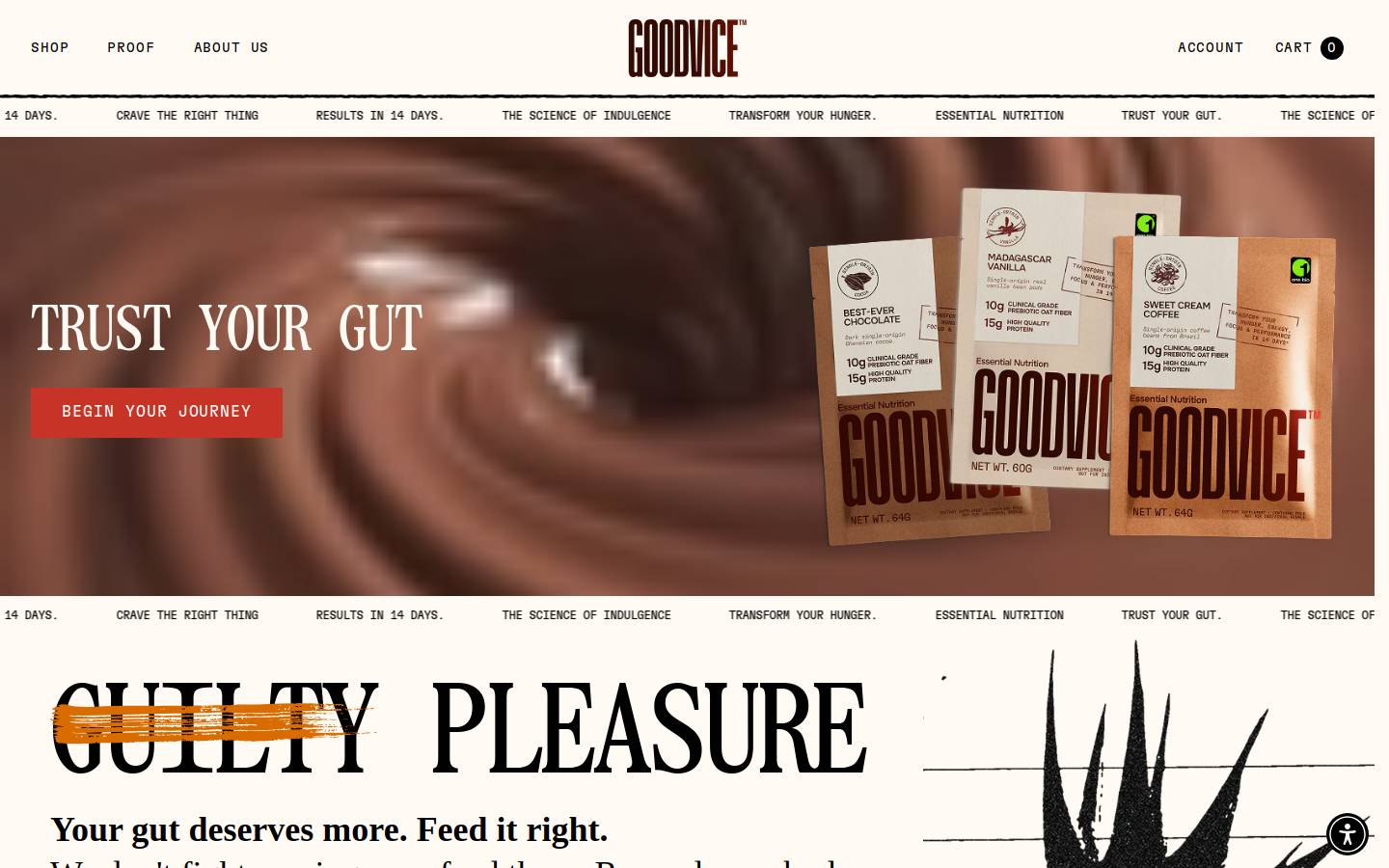 drinkgoodvice.com homepage screenshot