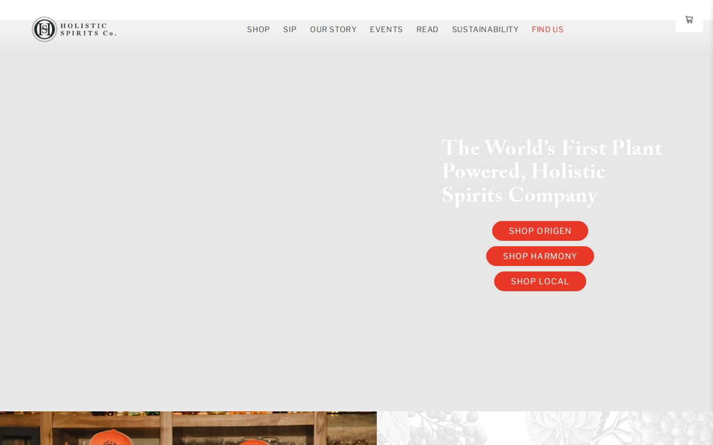 drinkholistic.com homepage screenshot