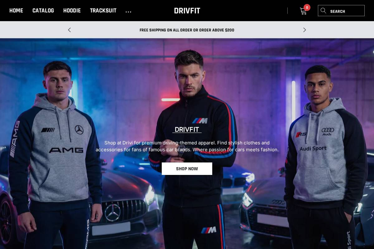 Driverfits homepage screenshot