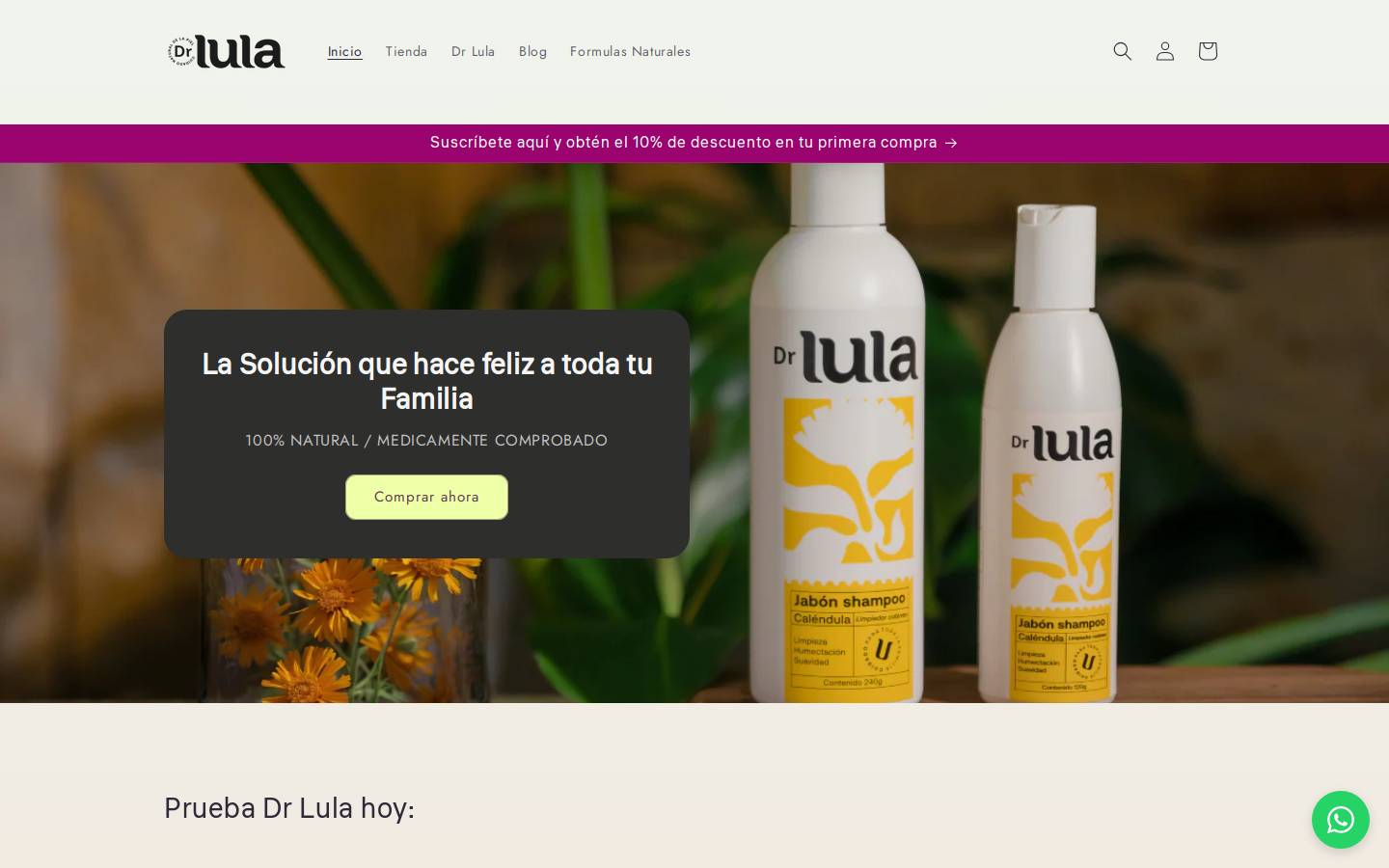 drlula.com homepage screenshot