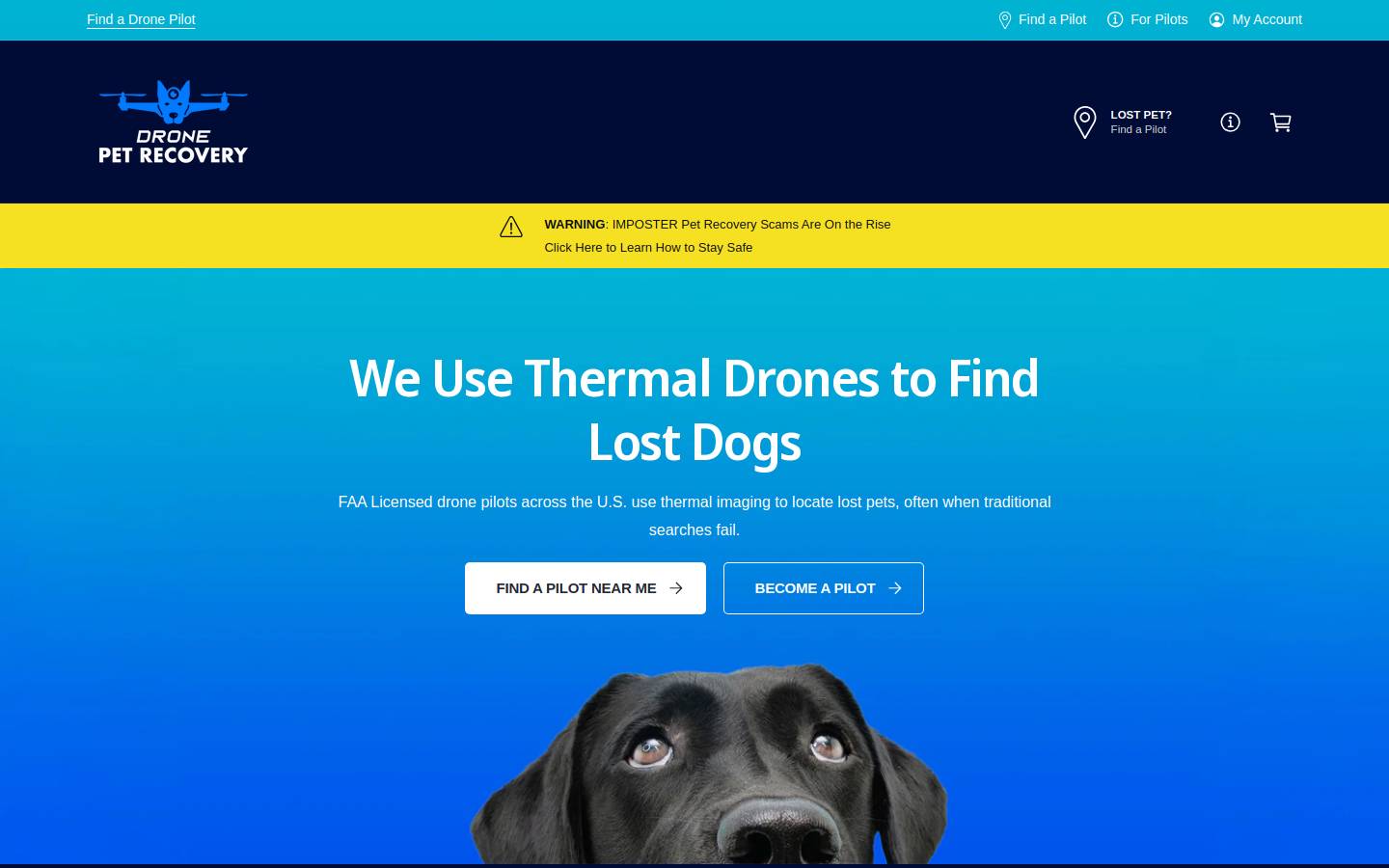 dronepetrecovery.com homepage screenshot