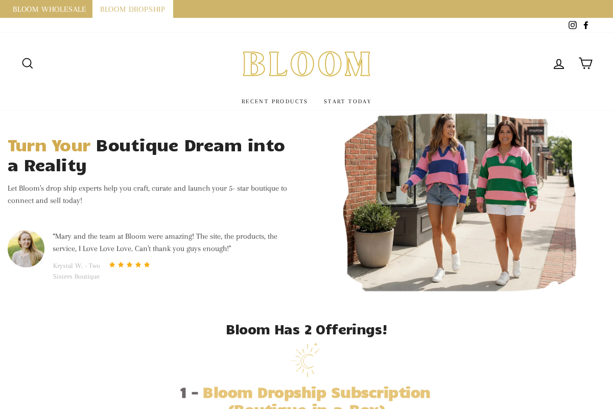 Bloom Drop Ship homepage screenshot