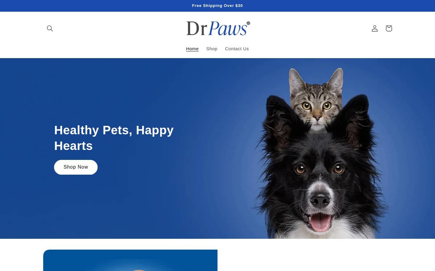 Drpaws homepage screenshot