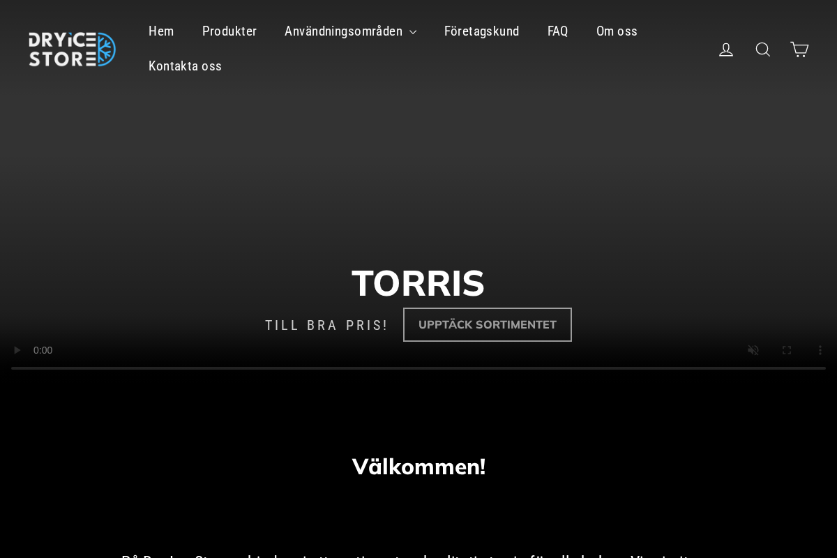 dryicestore.se homepage screenshot