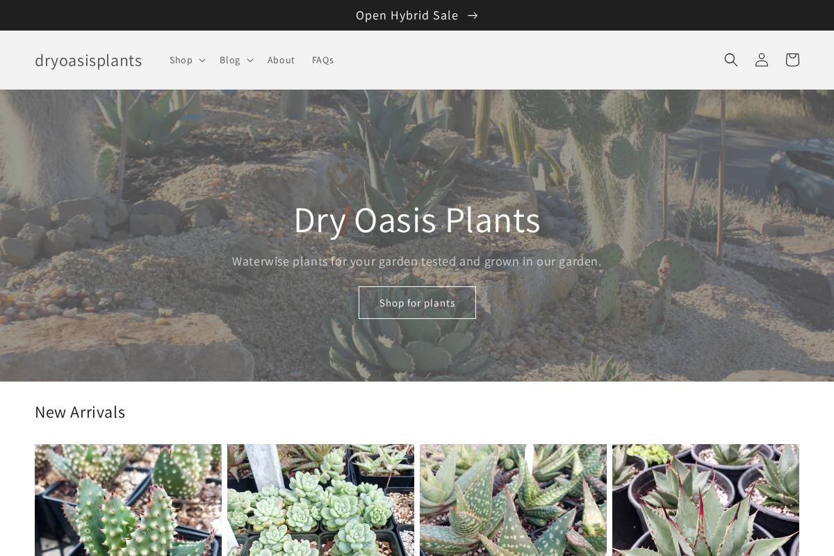 dryoasisplants.com homepage screenshot