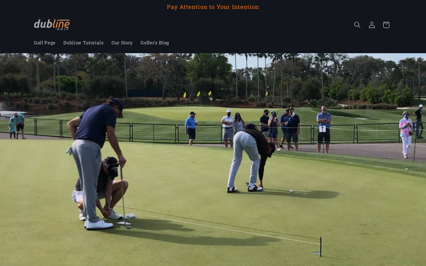 dublineputting.com homepage screenshot