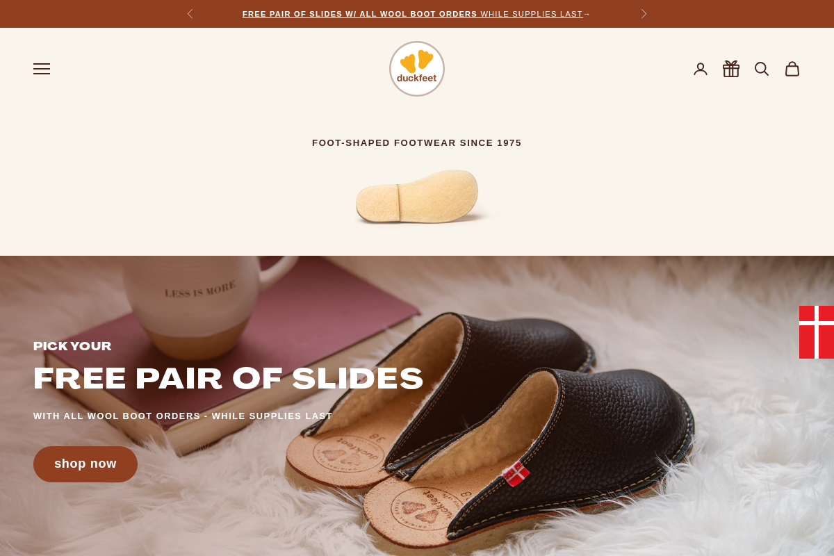 duckfeetusa.com homepage screenshot