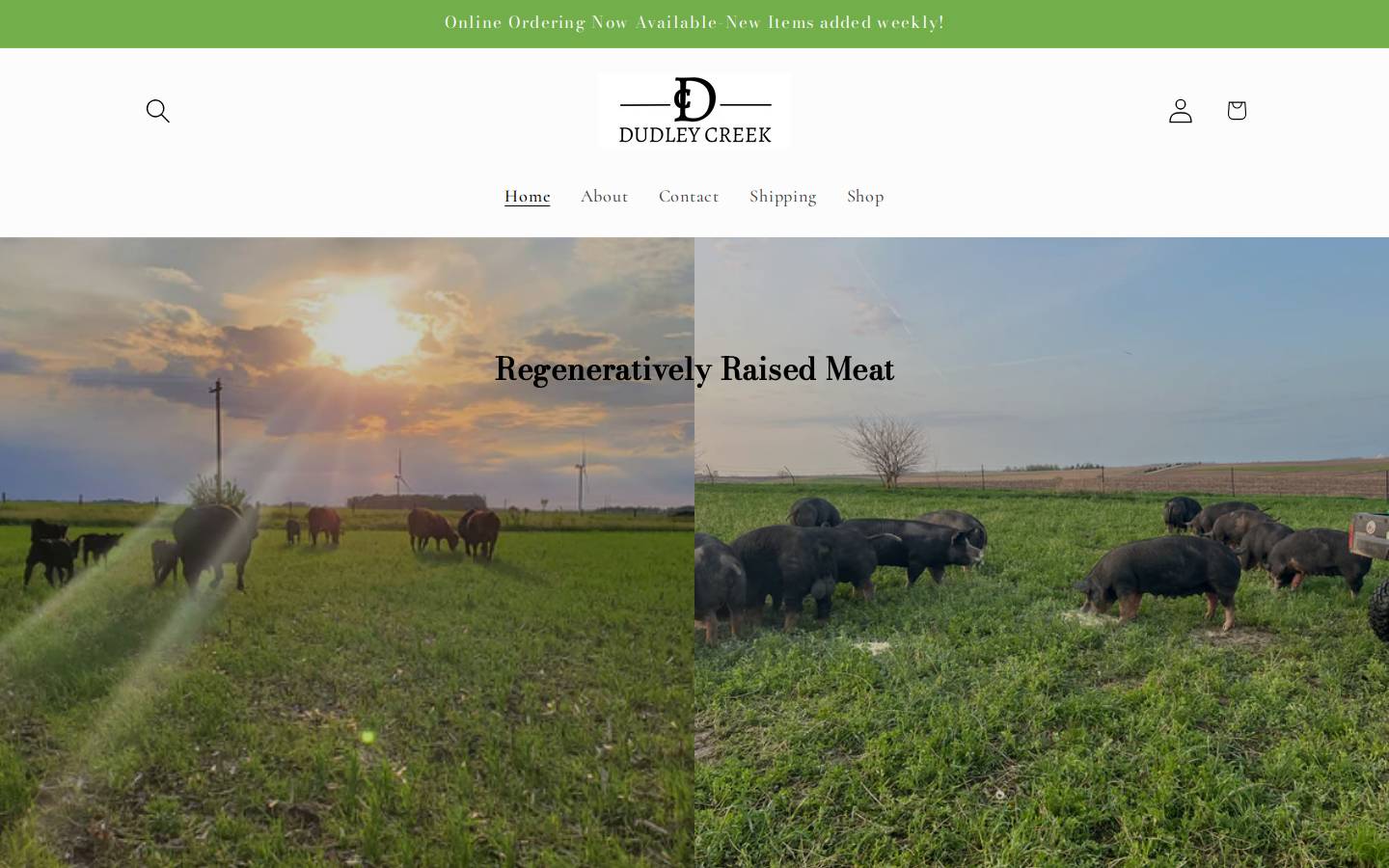 dudleycreek.com homepage screenshot