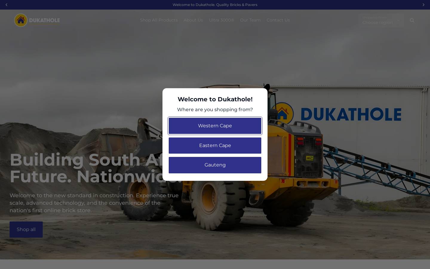 dukatholebricks.co.za homepage screenshot