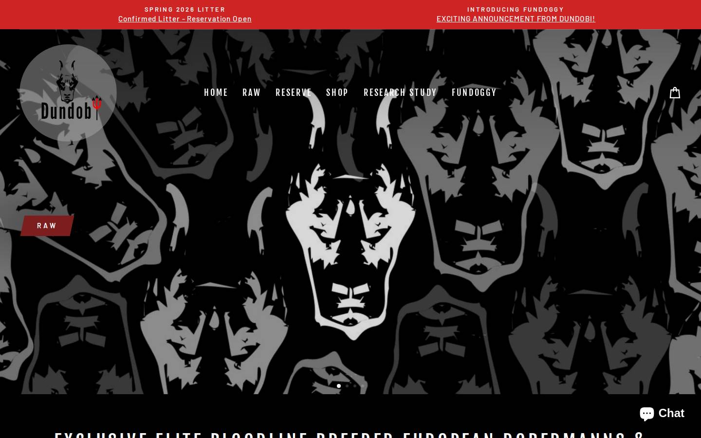 dundobi.com homepage screenshot