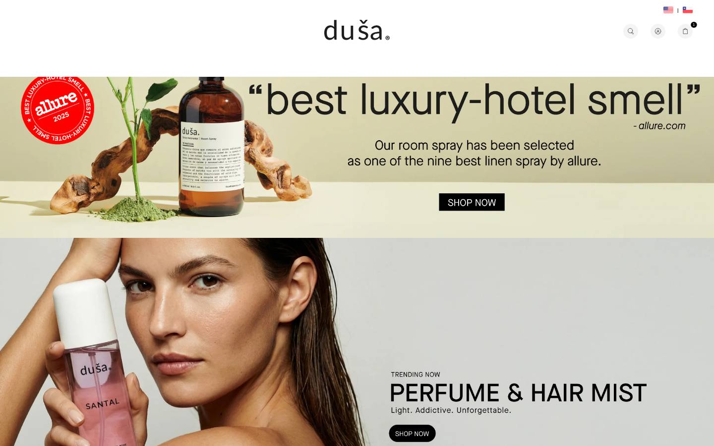 dusa-us.com homepage screenshot
