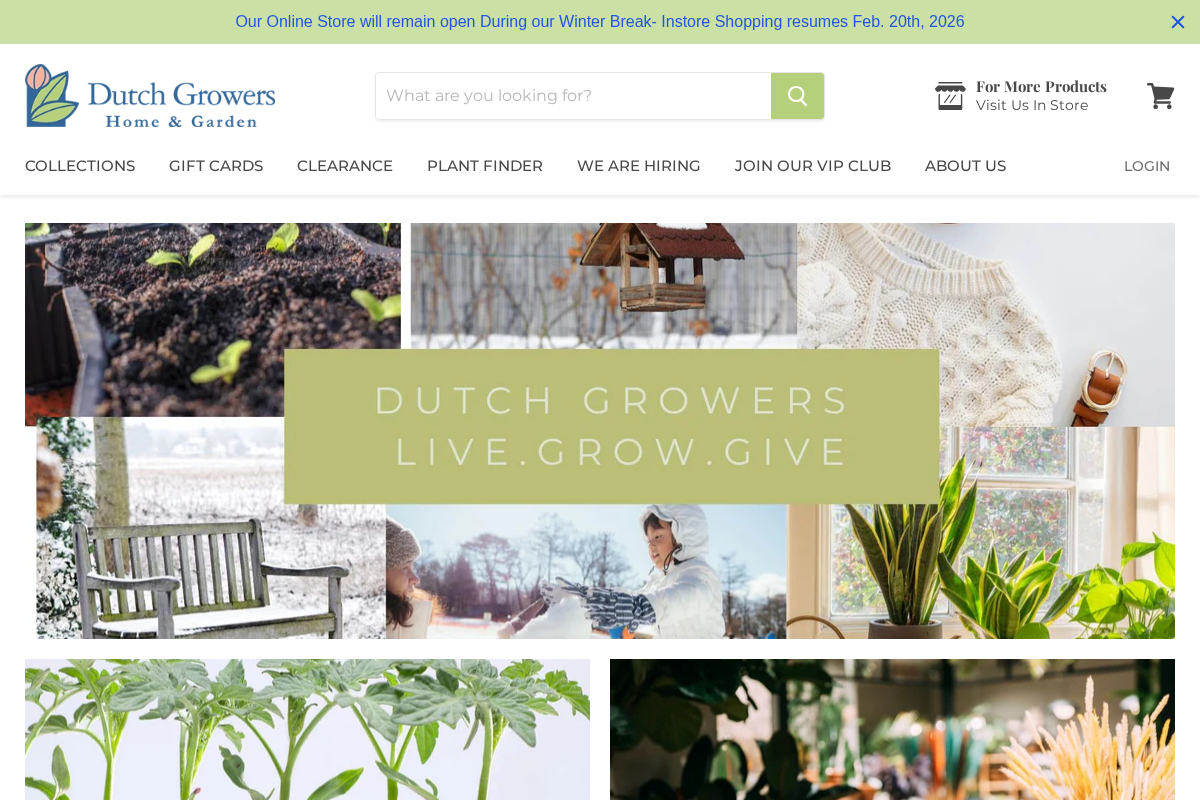 Dutch Growers Regina homepage screenshot