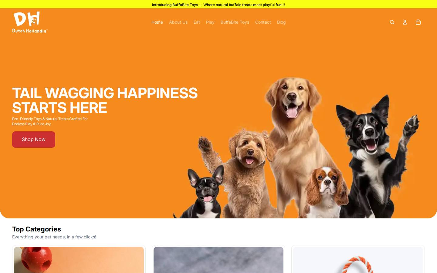 dutchhollandia.com homepage screenshot