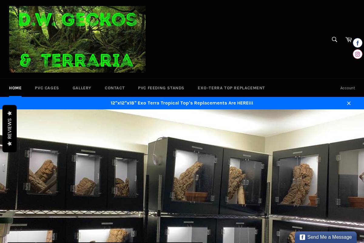 dwgeckos.com homepage screenshot