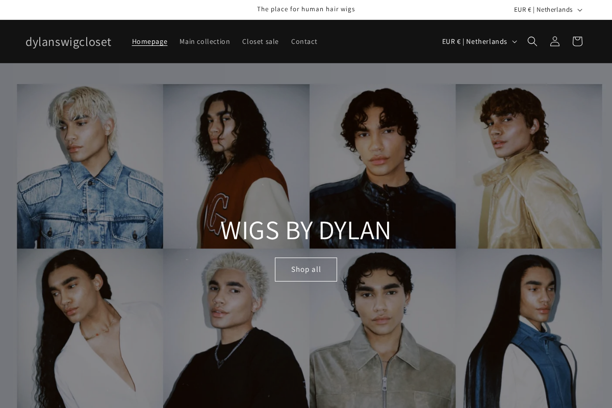 dylanswigcloset homepage screenshot