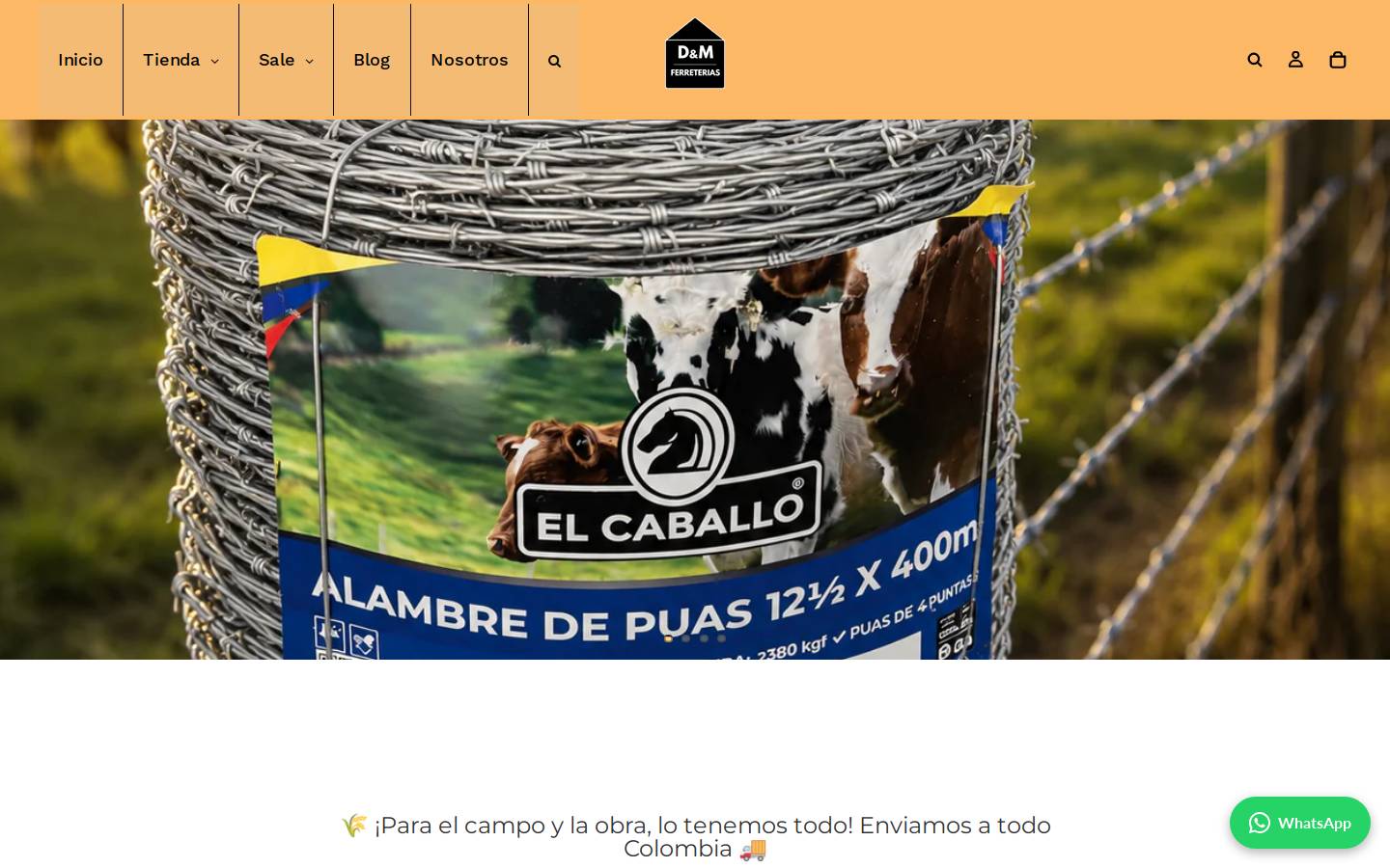 dymferreterias.com homepage screenshot