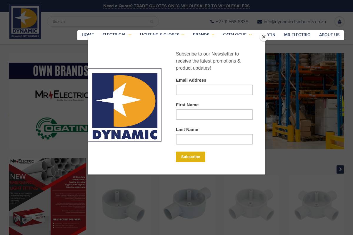 dynamicdistributors.co.za homepage screenshot