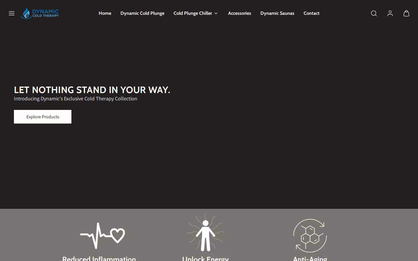 dynamicplunge.com homepage screenshot