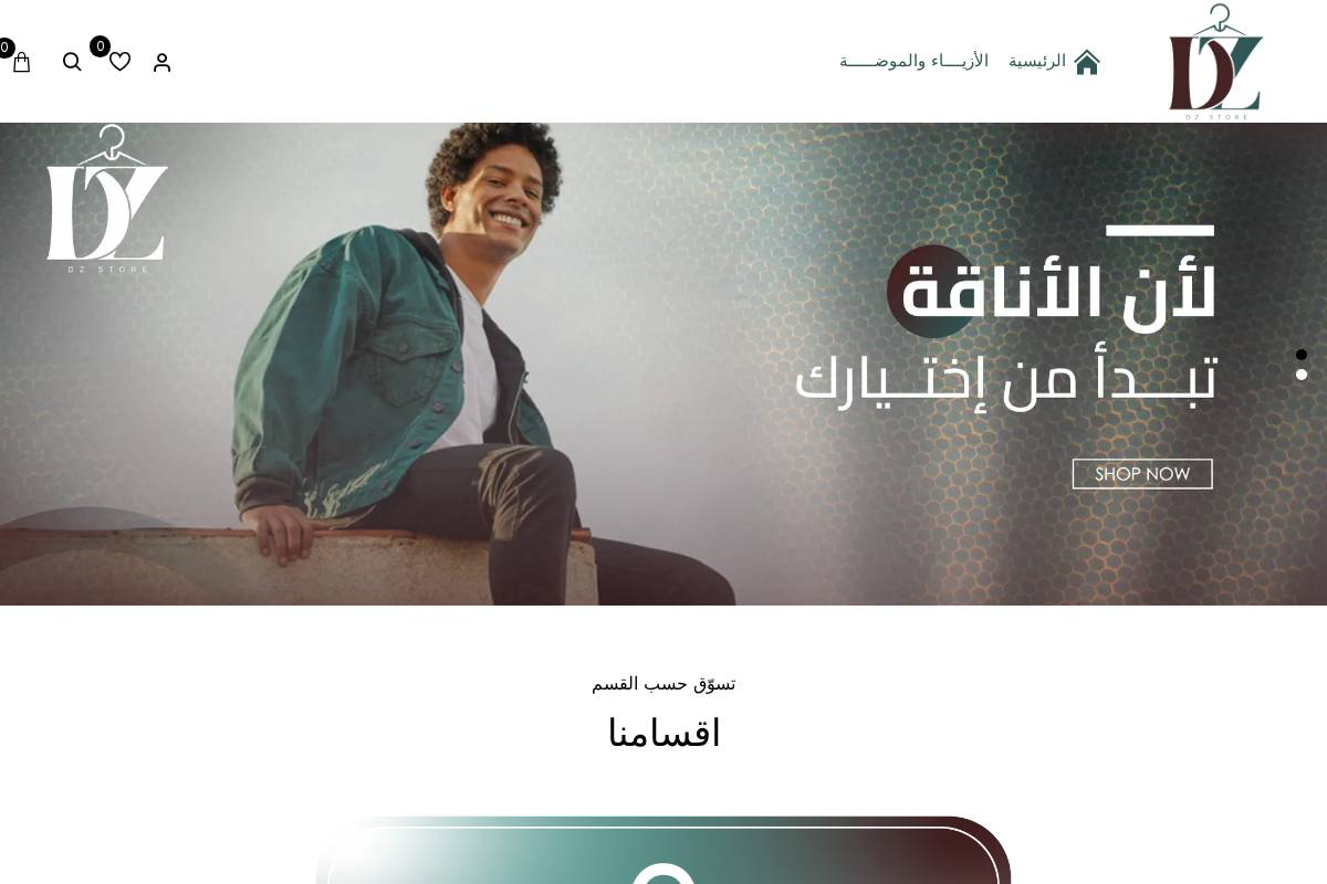 dz-store.com homepage screenshot