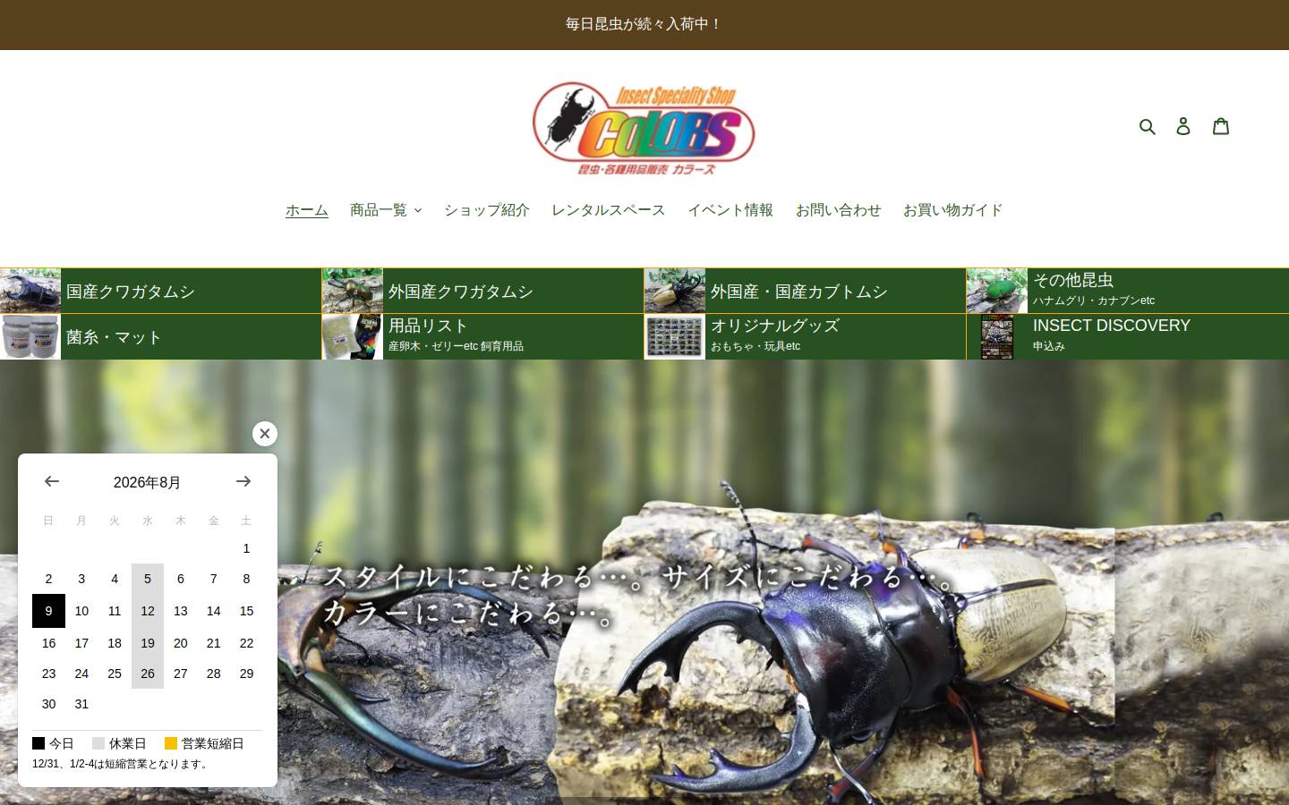 e-colors.jp homepage screenshot