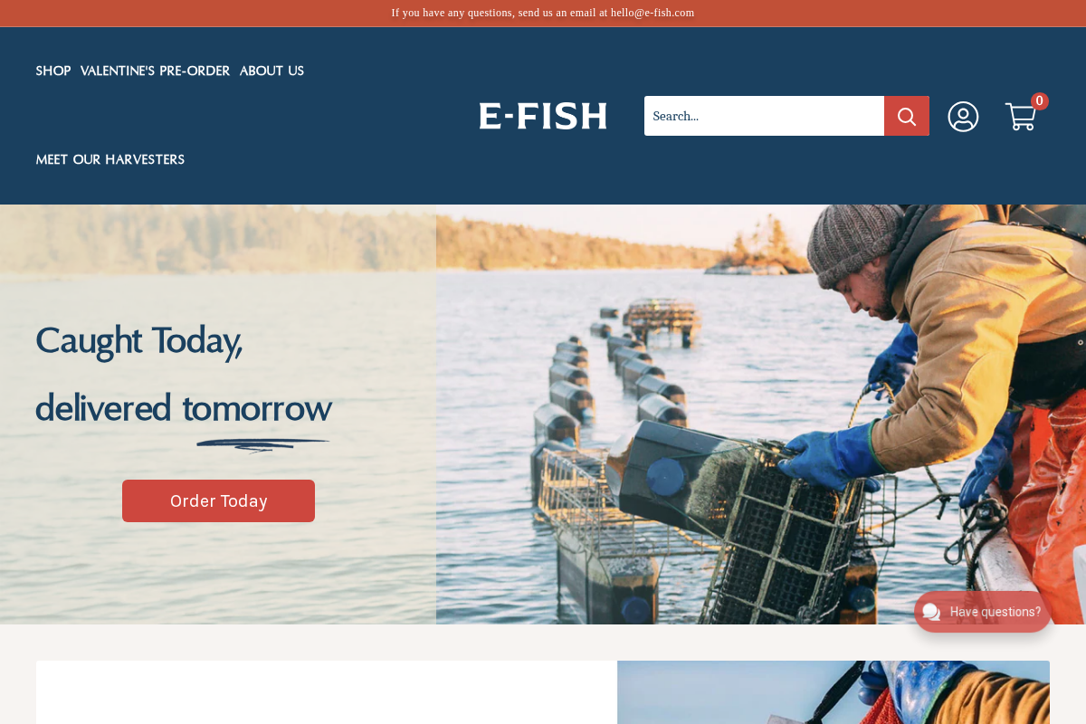 e-fish.com homepage screenshot