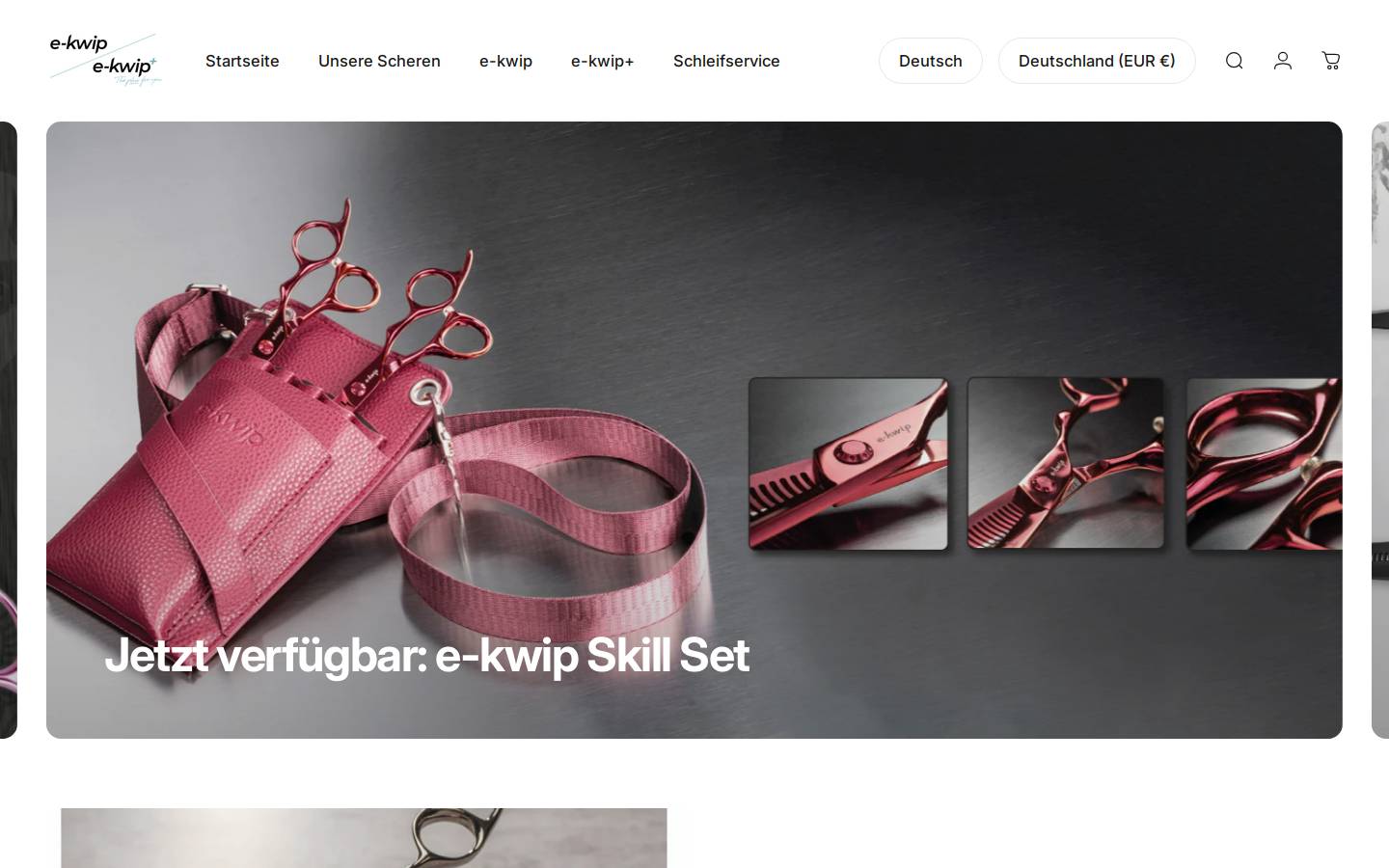 e-kwip.de homepage screenshot