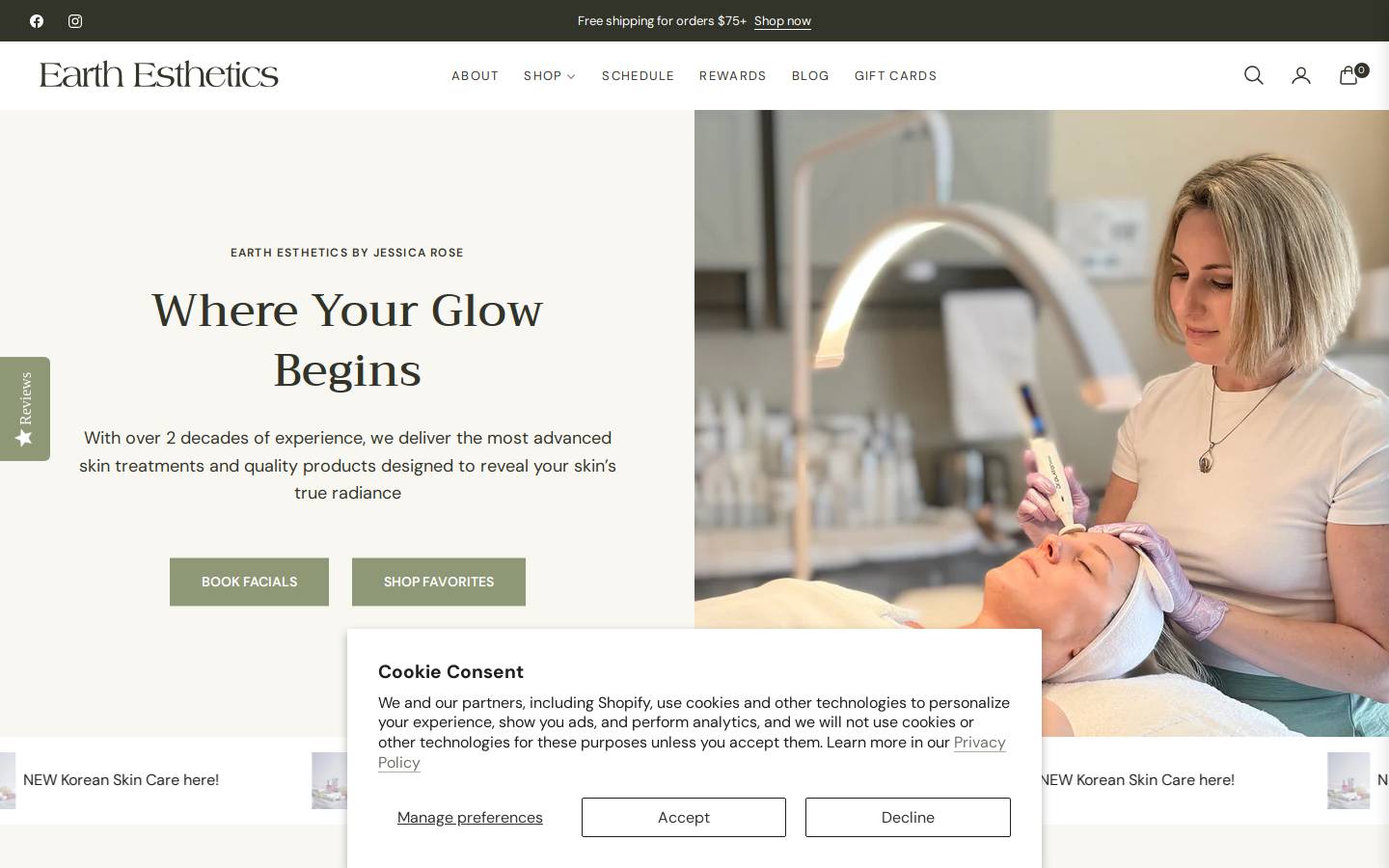 earthesthetics.com homepage screenshot