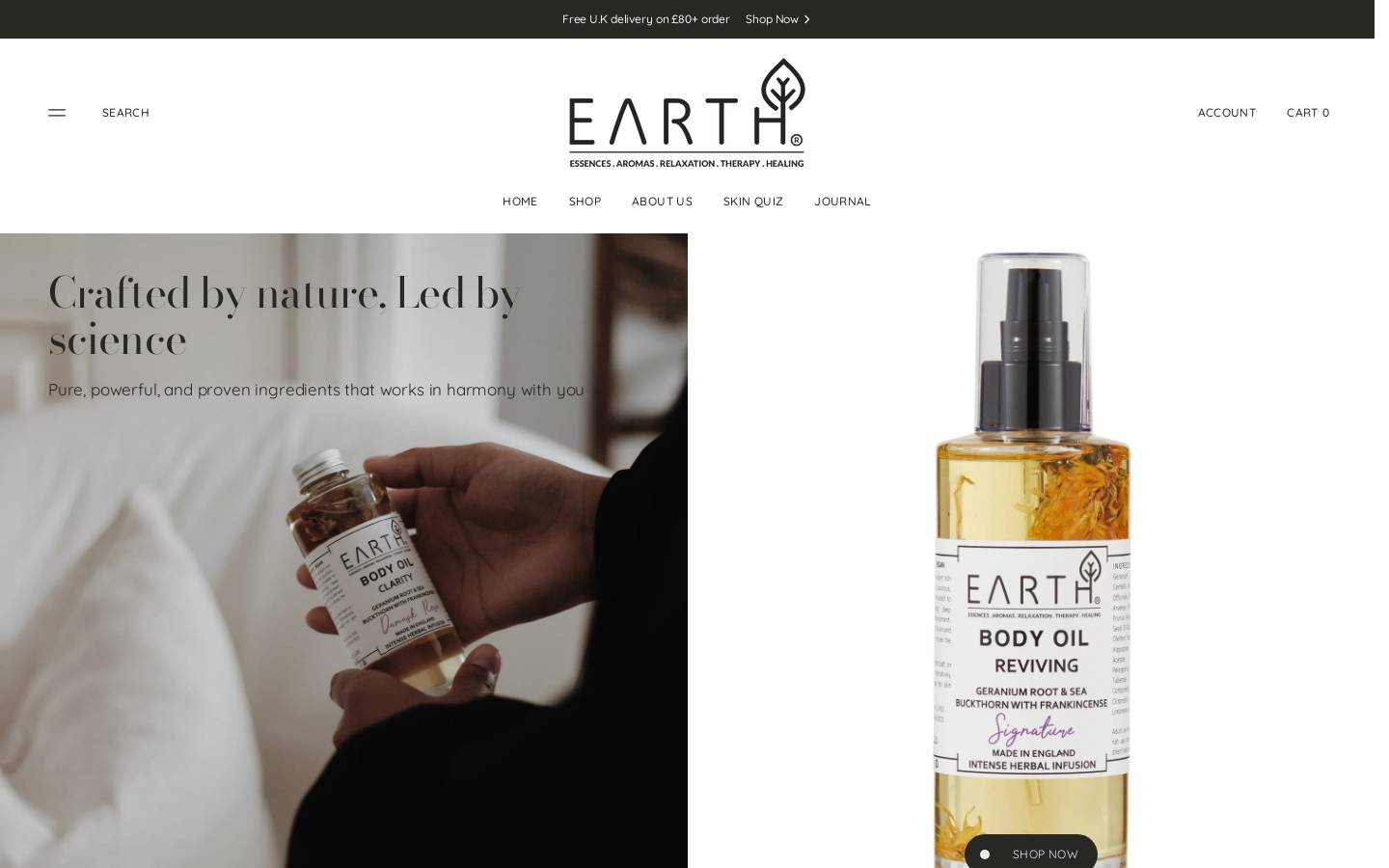 Earth from Earth Ltd homepage screenshot