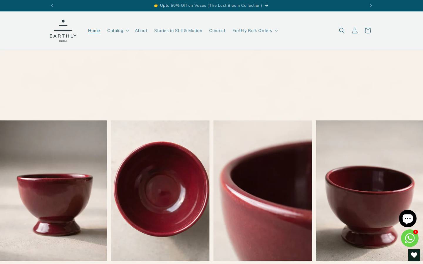 earthlyindia.com homepage screenshot
