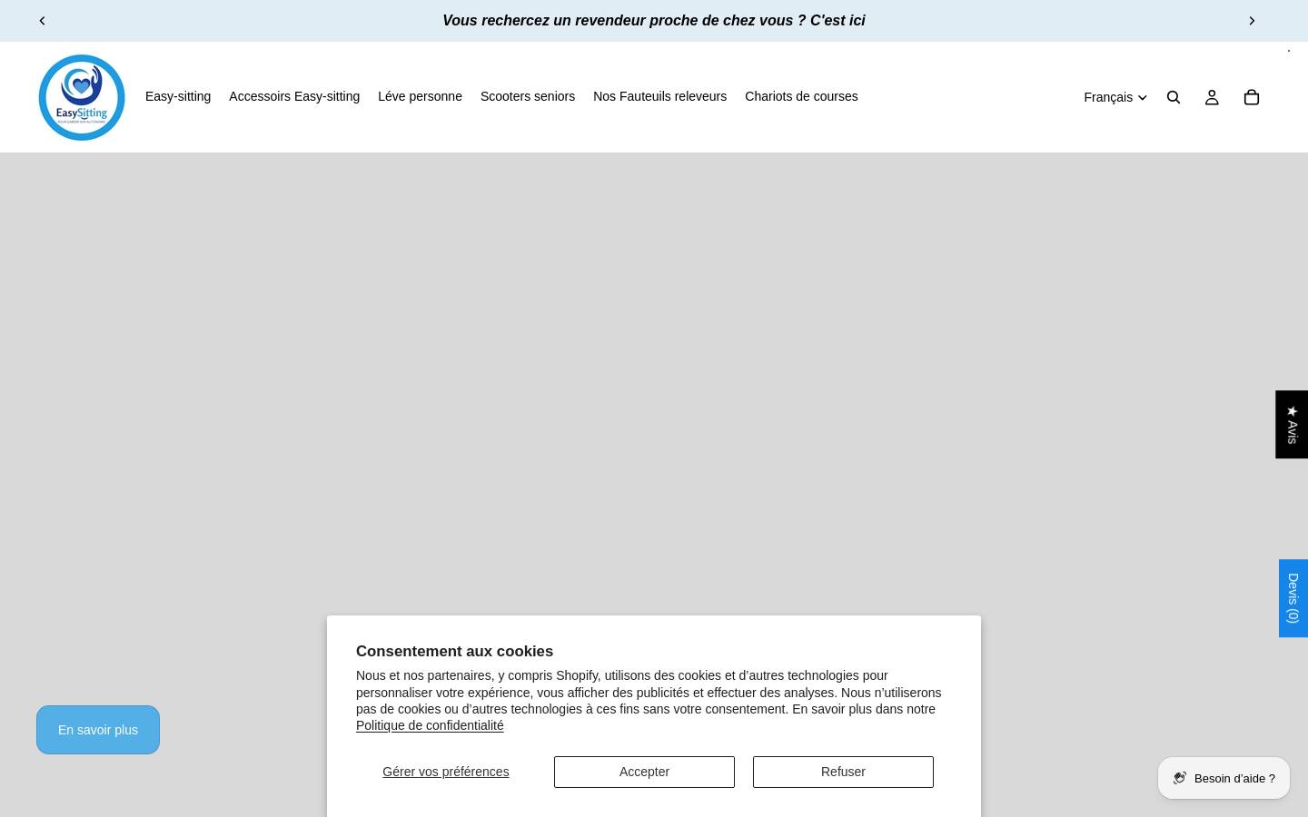 Easy-sitting homepage screenshot