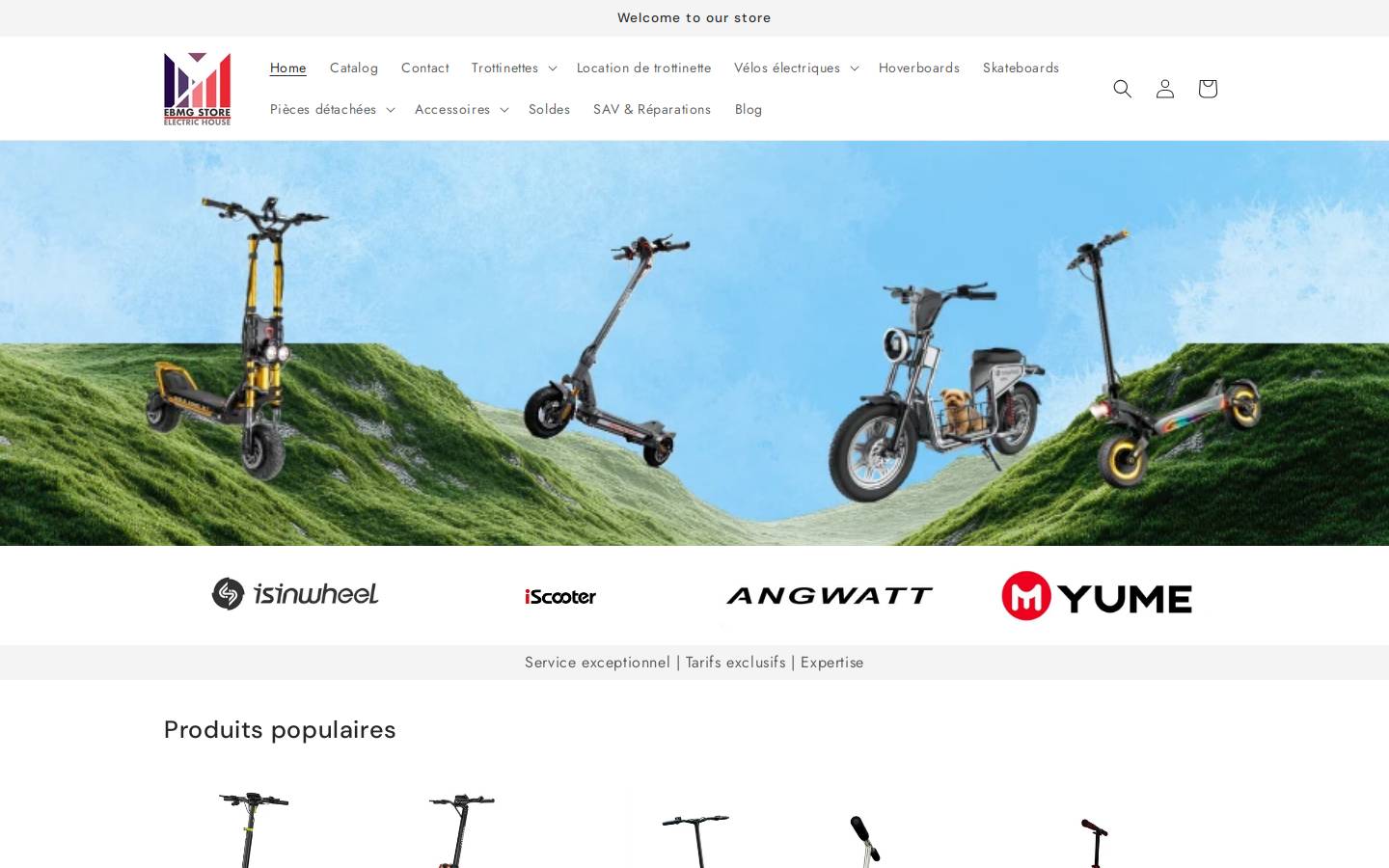 ebmgstore.fr homepage screenshot